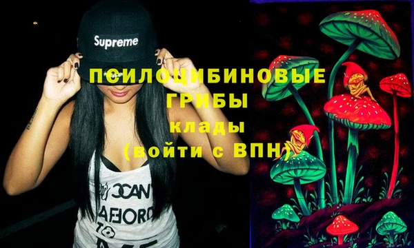 ГАЛЛЮЦИНОГЕННЫЕ ГРИБЫ Абинск