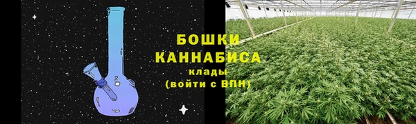 ГАЛЛЮЦИНОГЕННЫЕ ГРИБЫ Абинск