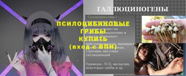 прущий лед Абаза