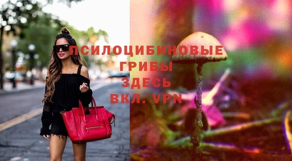 соль ск Пересвет