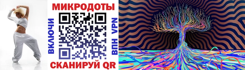 Галлюциногенные грибы Psilocybine cubensis  Невельск 